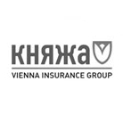 СК "Княжа" СК "Княжа"